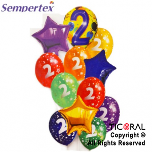 SET DE GLOBOS NUMEROS MULTICOLOR NRO 2 12 UNIDADES X 1